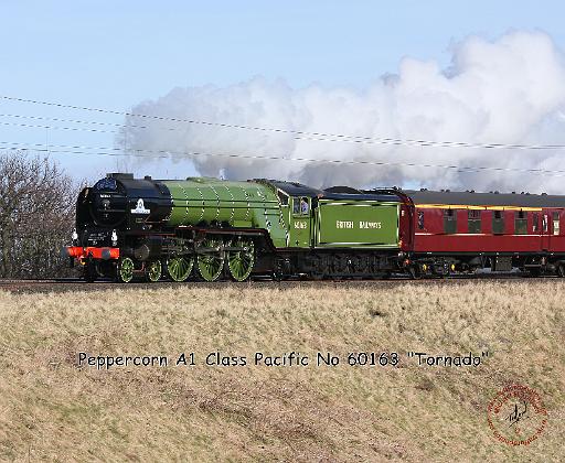 A1 Steam Loco Tornado 9Y487D-101.JPG